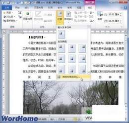 Word 2010ĵоȷͼƬλ